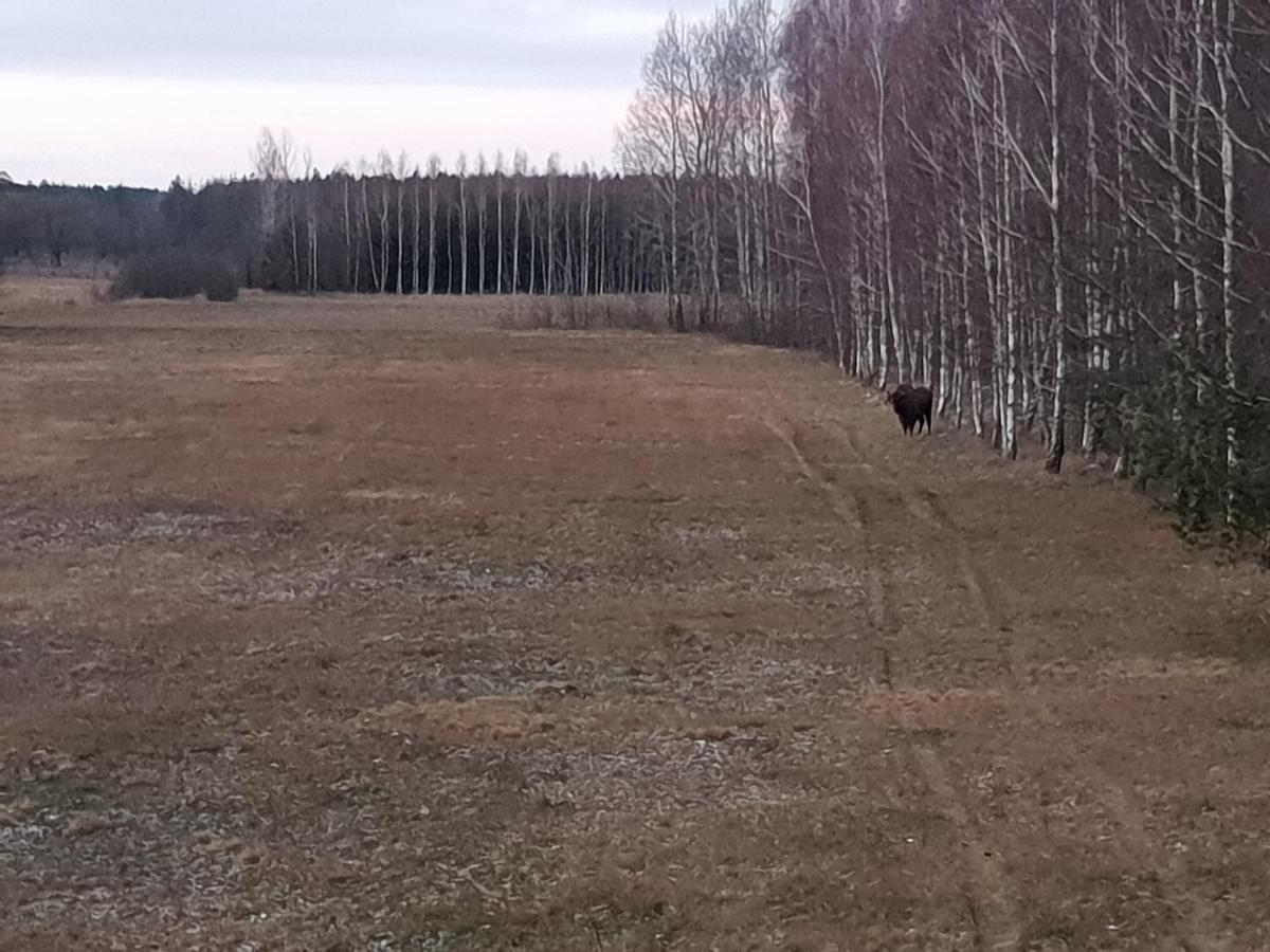 Ciche Podlasie Сємянувка Екстер'єр фото